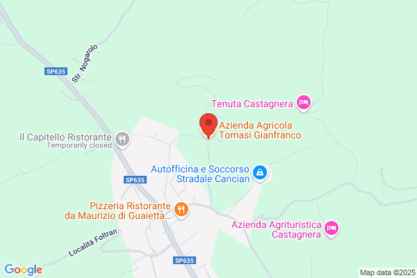 Tommasi candia
