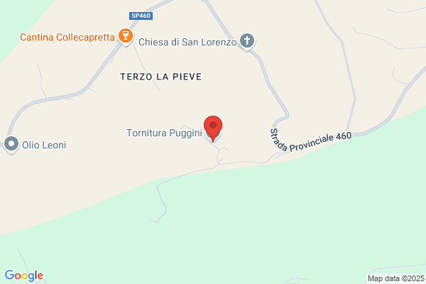 Tornitura Puggini