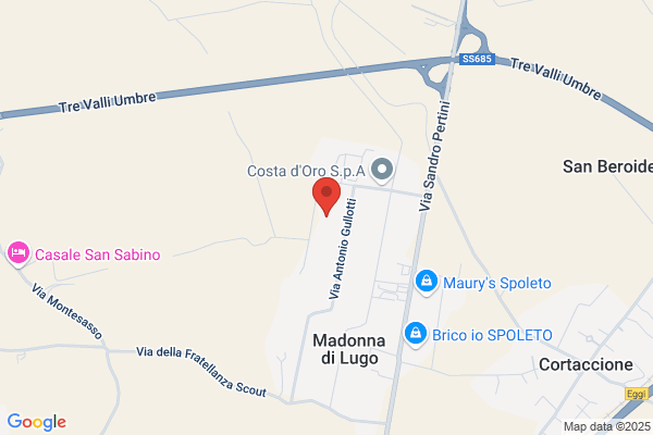 Gestione Servizi Starlux