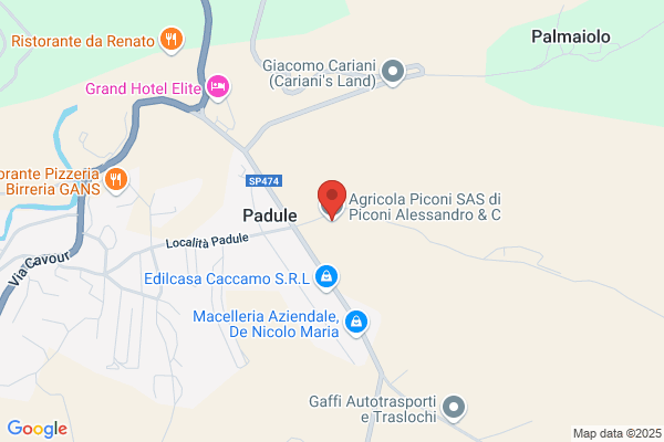 Piconi evidio