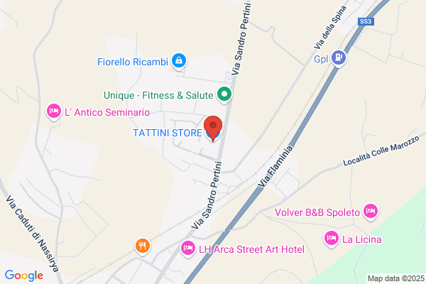 Tattini (S.R.L.)