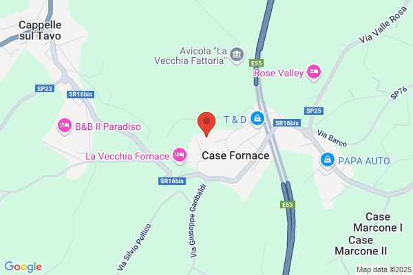 Food Services Srl -  Ristorazione Collettiva