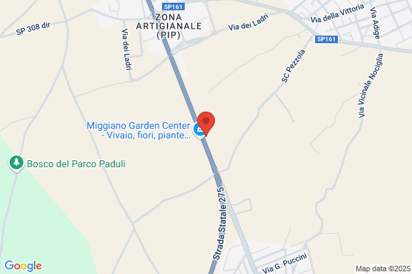 Esso Nociglia