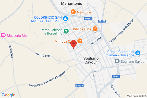 Longo maria