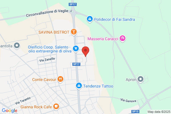 Velialpol-Istituto Di Vigilanza S.R.L.