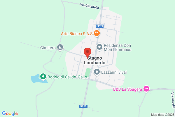 Placchi claudio
