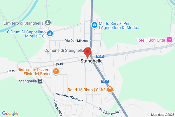 Partito Democratico Della Sinistra