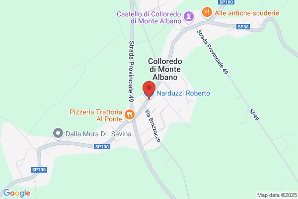 Narduzzi roberto