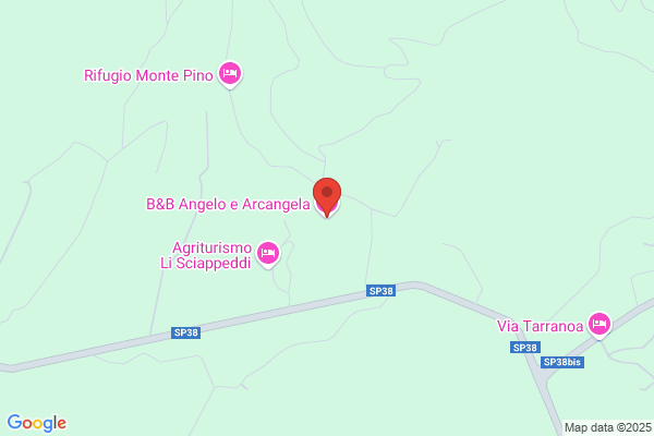 Vinci arcangela (Rag.)