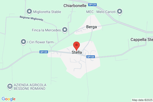 Market Alimentari Stella Uno Sas