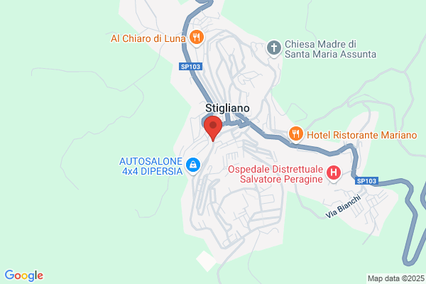 Servicenet S.A.S. Di E.Pacifico & N. Ferruzzi