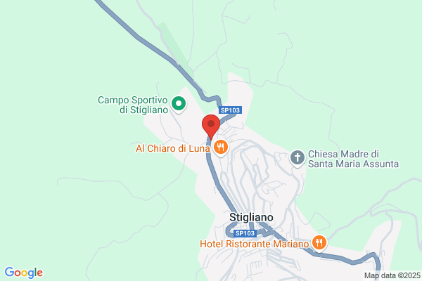Sarubbi Centro Revisioni