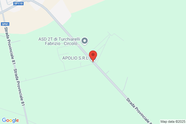 Apolio Srl