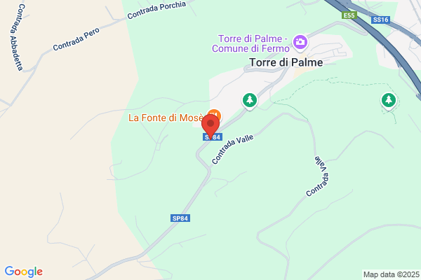 La Fonte Di Mose Di Maglione Michele