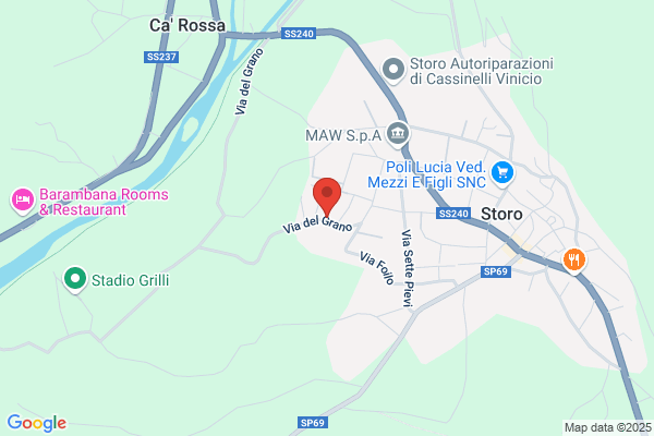 Zontini elvio