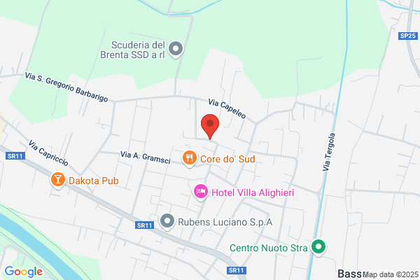 Sanso gesuella (Dr.)