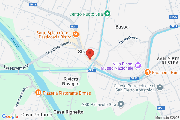 Vettore nico