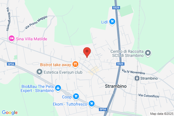 Municipio