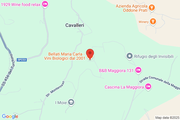 Azienda Vitivinicola Biologica Bellati