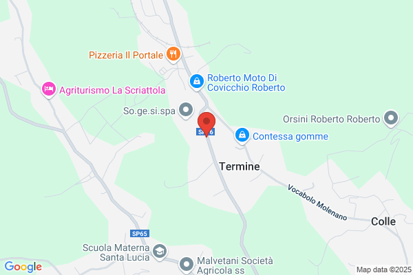 Menicocci lenino