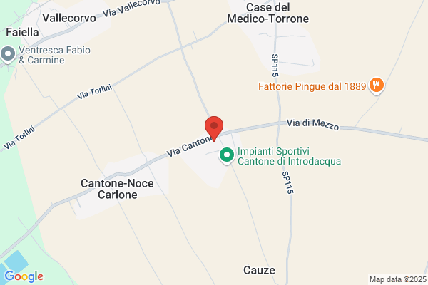 Federazione Italiana Cronometristi