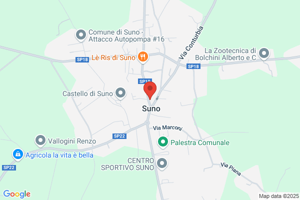 Sacchi giuseppina
