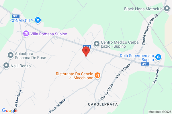 Cerilli Gino