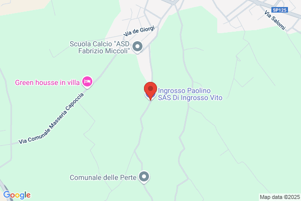 Ingrosso Paolino Sas
