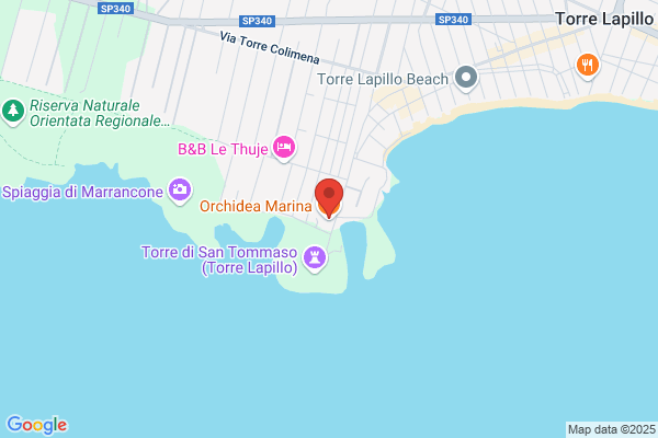 Orchidea Marina