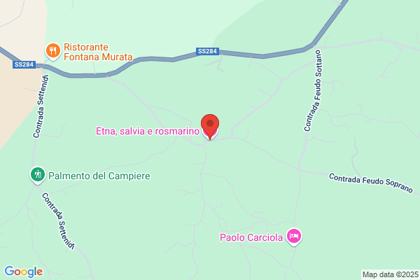 Salviato rino