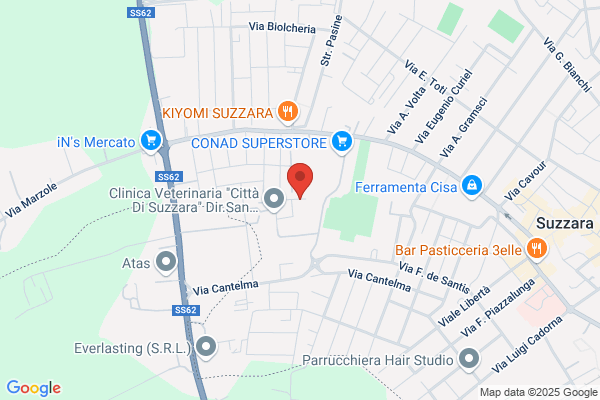 Istituto Secondario Superiore Manzoni Marangoni