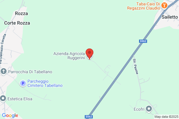 Ruggerini cincinnato E Aldo