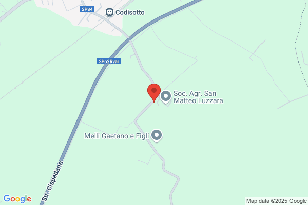 Molinari & Figli (S.N.C.)