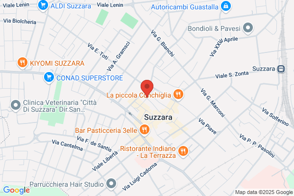 Iniziative Per Lo Sviluppo Del Terziario (S.R.L.)