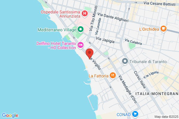 Palma massimo