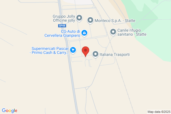 Tecoelettra Srl