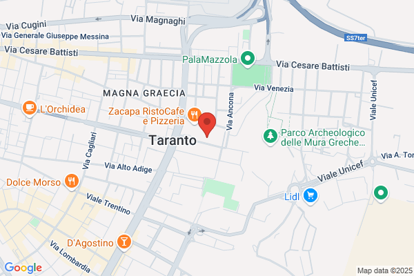 Progetti Di Automazione E Servizi Di Informatica