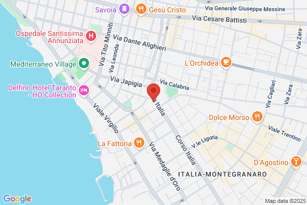 Ruta rocco (Dr.)