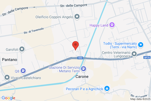 Centro Revisioni Cat
