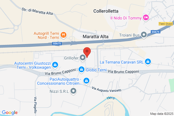 Montagnini maurizio