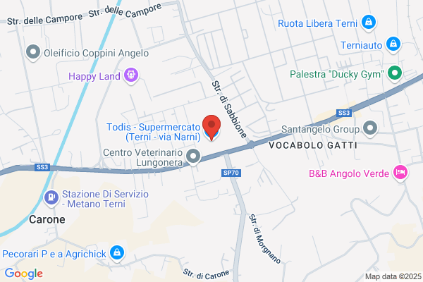 Todis - Supermercato (Terni - via Narni)