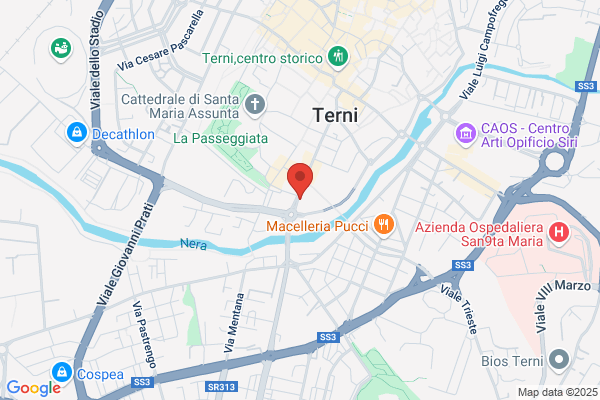 Meie Assicurazioni S.P.A.