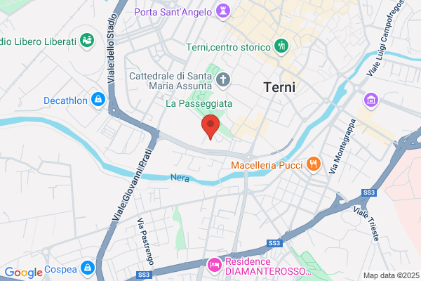 F.I.S. Federazione Italiana Scherma