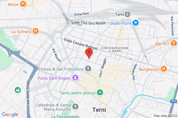 Terniservice