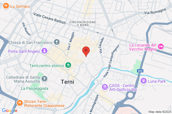 New Tel Di Trollini Simone & C. S.A.S.