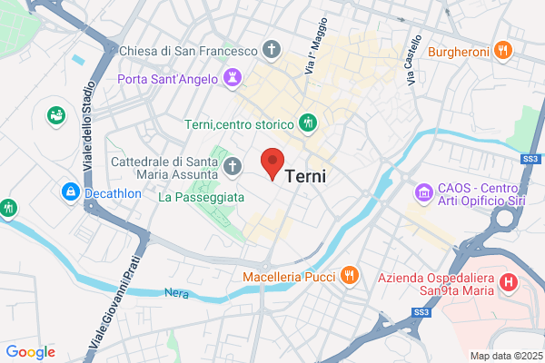 Studio Virili Service (S.R.L.)