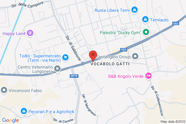 Flaminia Carburanti Di Marta A. E Ungari s. s.N.C.