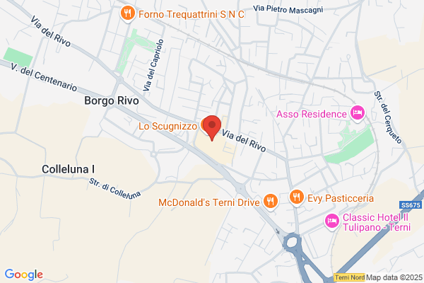 Terni Progetti Srl