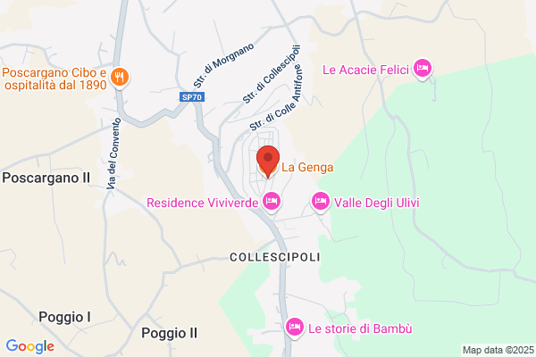 Pallocca cristina