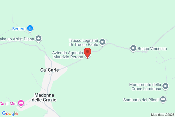 Perona maurizio